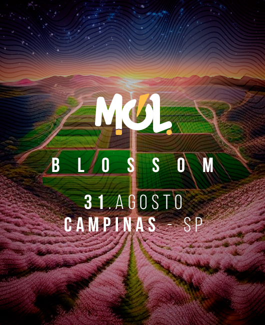 Mol Campinas com Chemical Surf