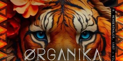 ORGANIKA HOUSE OPEN AIR